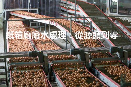 紙箱廠廢水處理：從源頭到零排放的綠色革命！